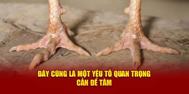 day-cung-la-mot-yeu-to-quan-trong-can-de-tam