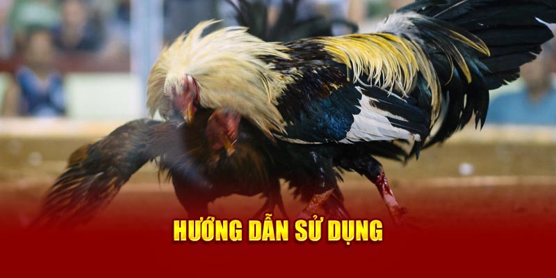 huong-dan-su-dung