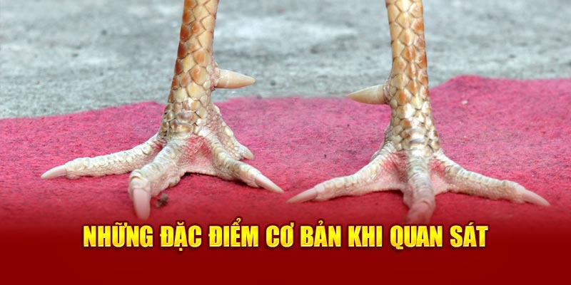 nhung-dac-diem-co-ban-khi-quan-sat